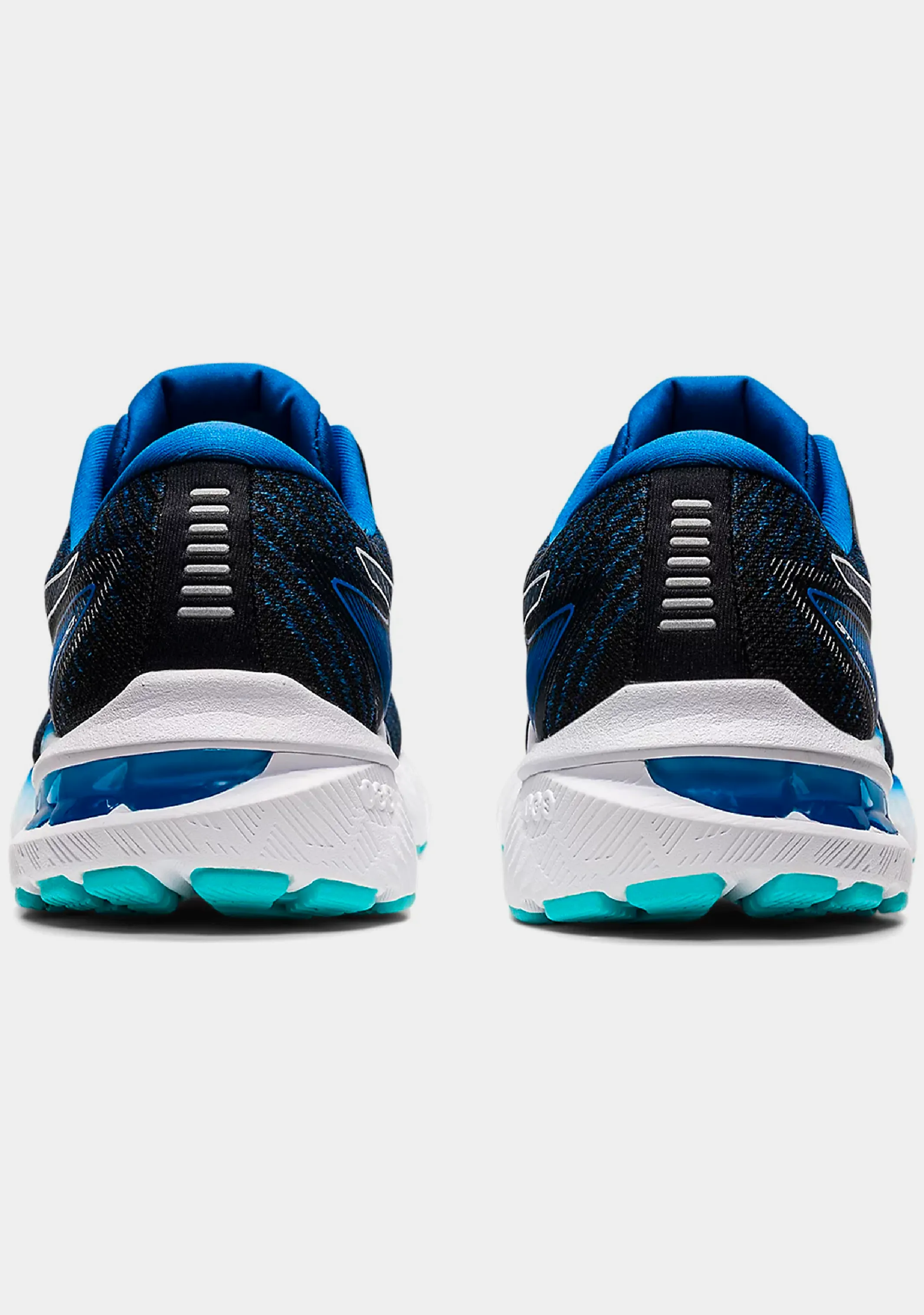 Asics Men’s GT 2000 10 (2E Width) Asics Shoes