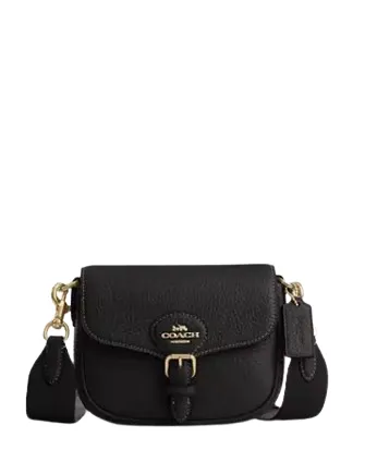 Coach Amelia Small Saddle Bag Coach Bags