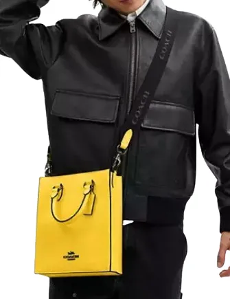 Coach Dylan Tote Bag Coach Bags