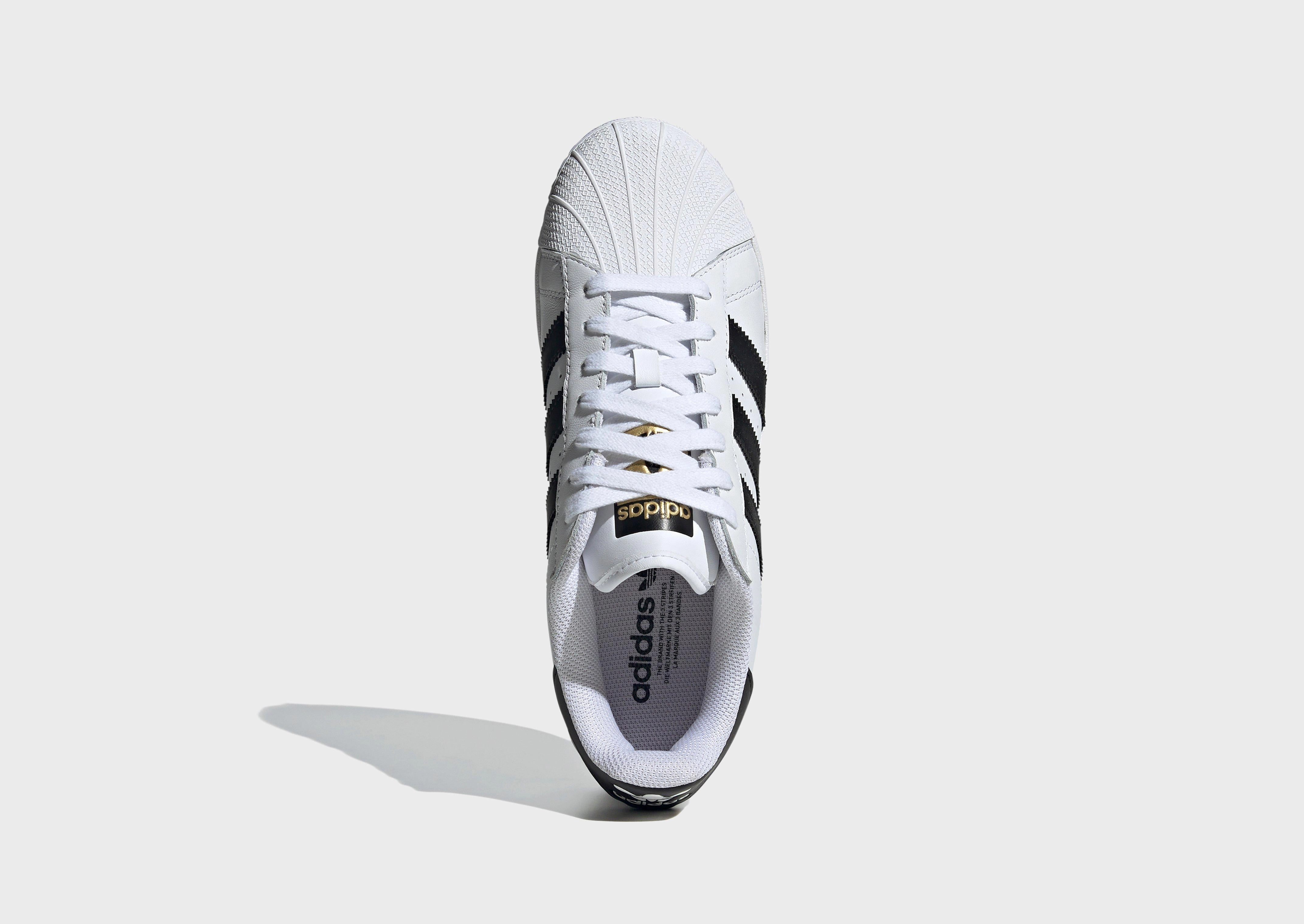 Progressive Feel, Built For Today, Progressive Edge, Lightweight Presence, Essentials In Motion