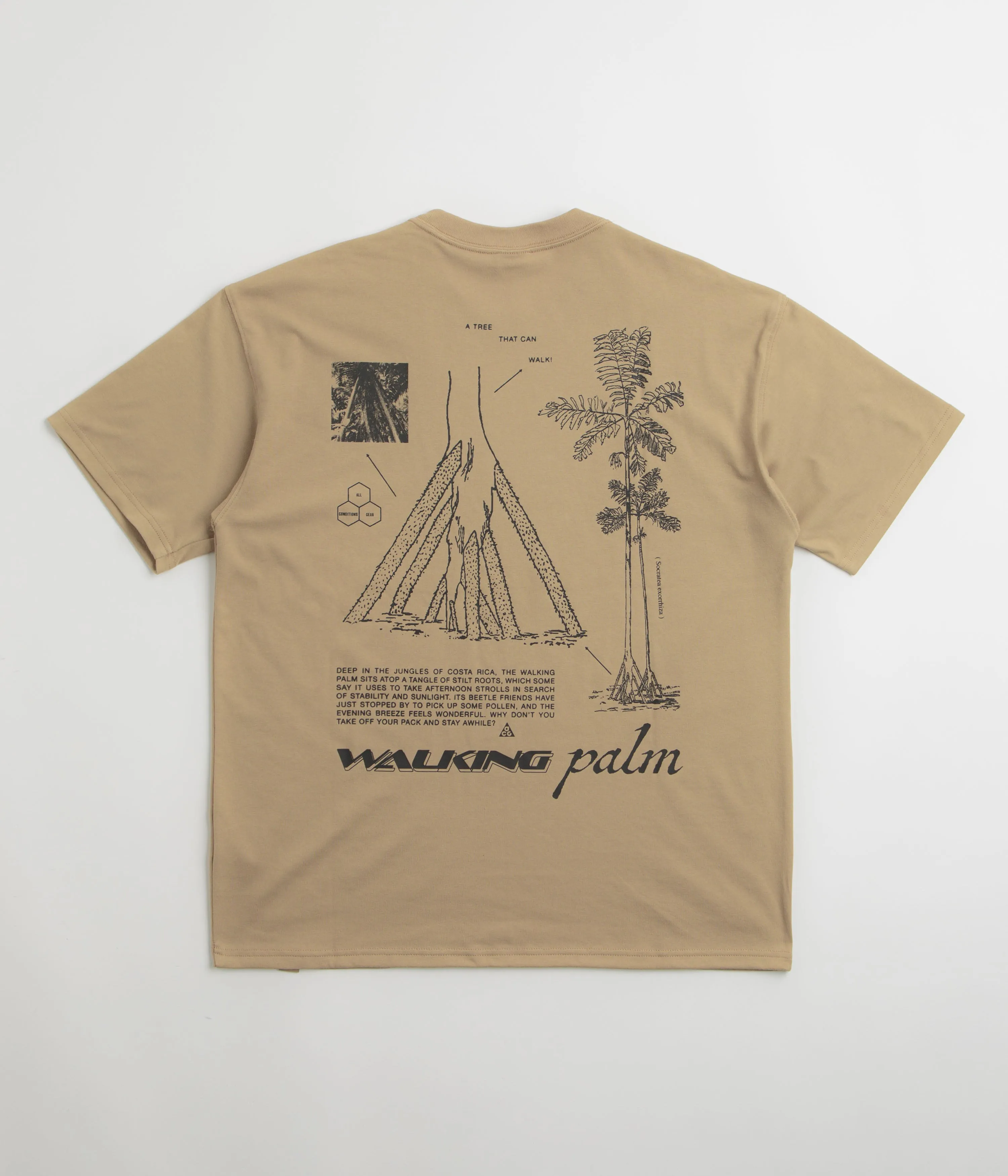 Nike ACG Walk Tree T-Shirt - Parachute Beige Nike ACG Outdoor Clothing
