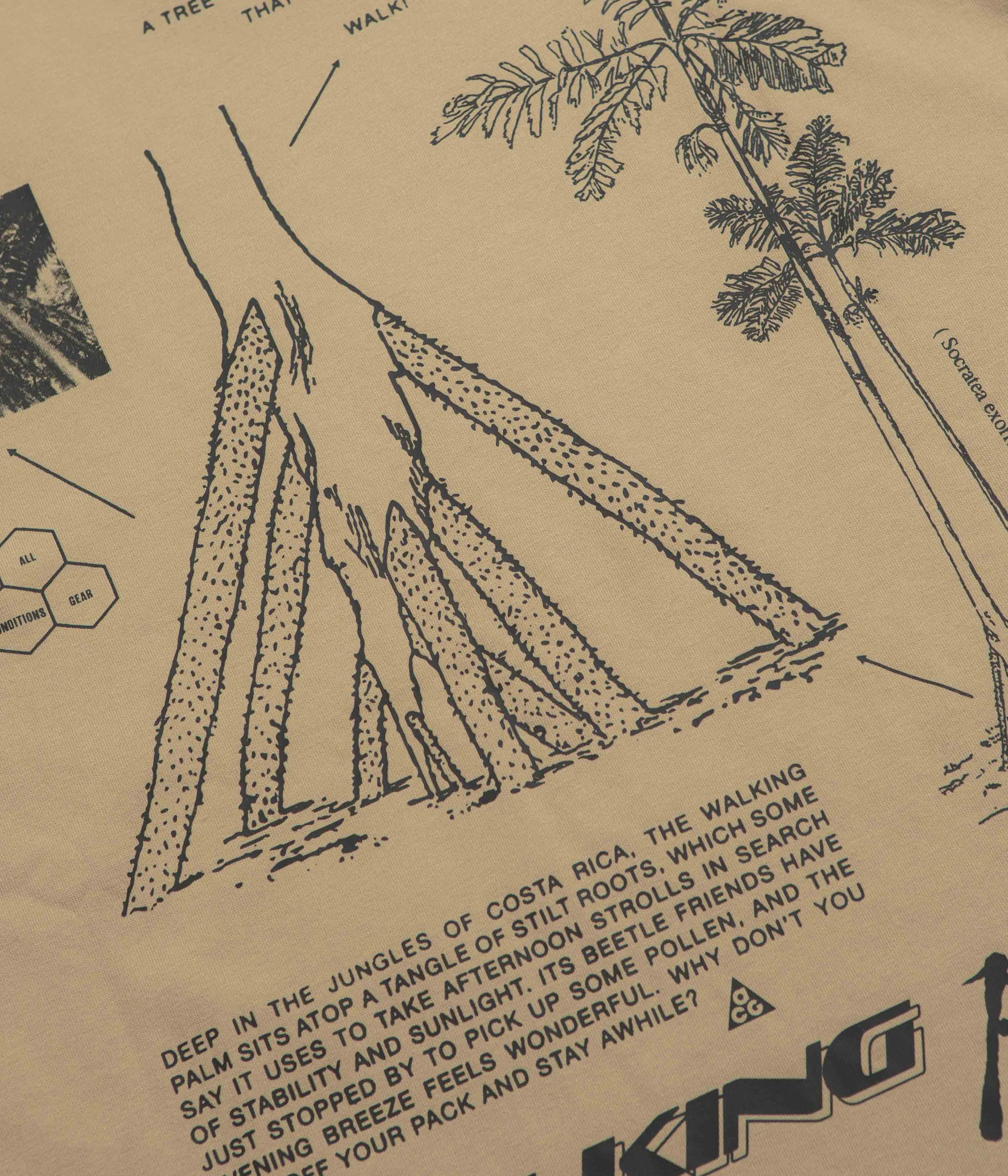 Nike ACG Walk Tree T-Shirt - Parachute Beige Nike ACG Outdoor Clothing